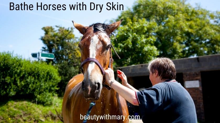 Avon Skin So Soft Uses - Horses Dry Skin