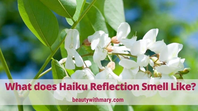 Haiku reflection eau de parfum hot sale